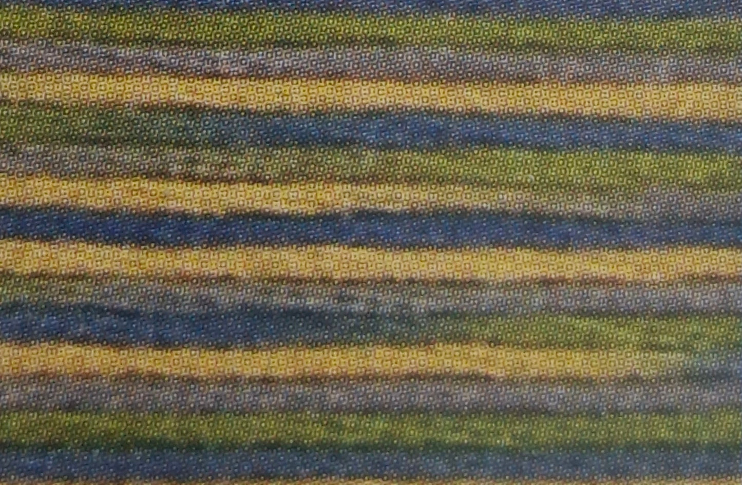 Primavera