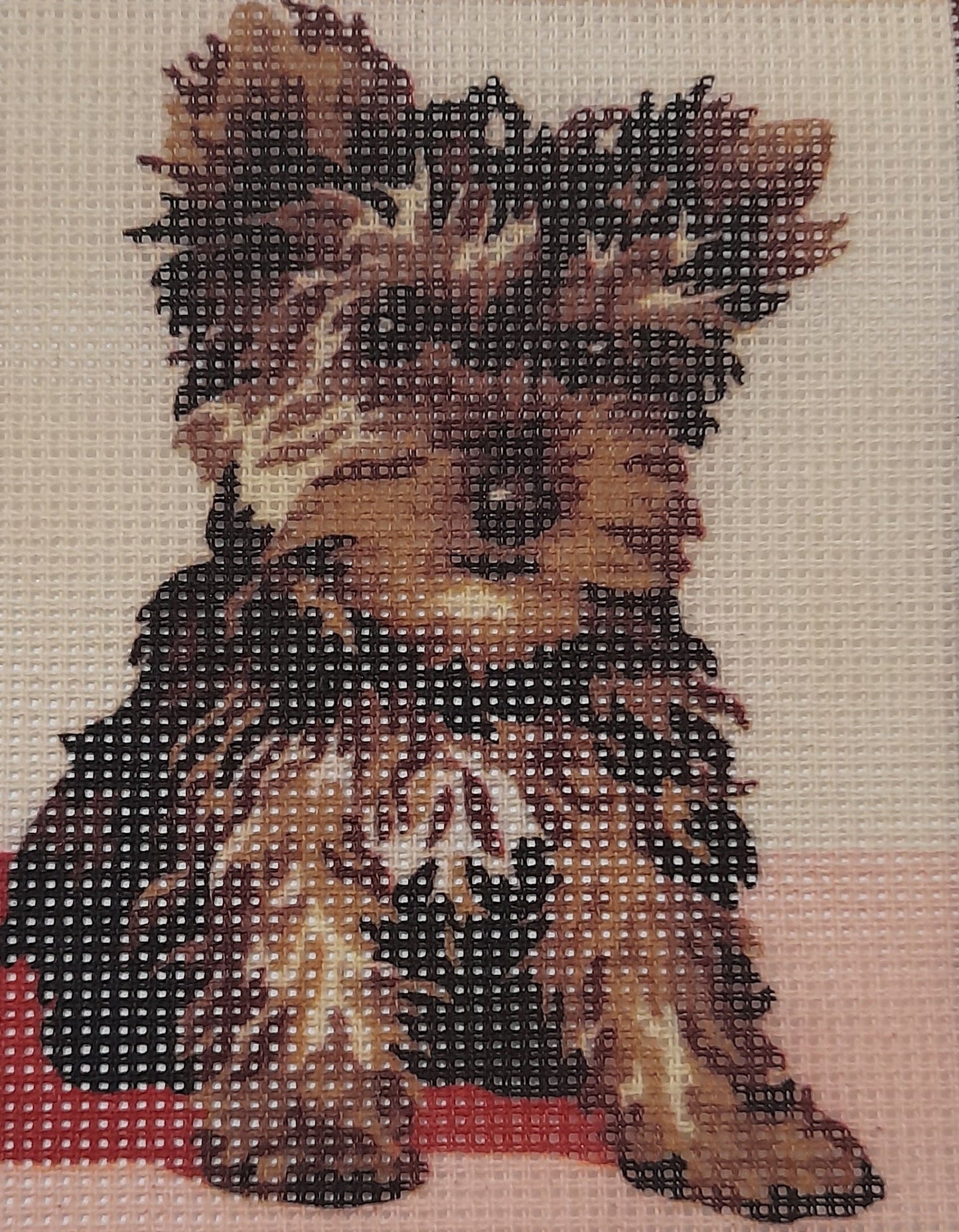 Tela cane da ricamare mezzo punto