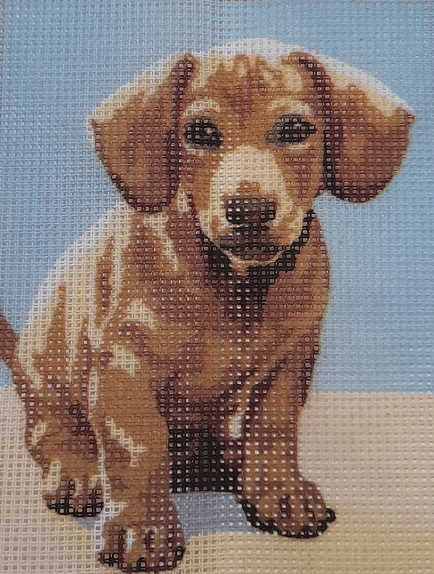 Tela cane marrone da ricamare mezzo punto