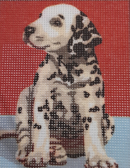 Tela dalmata da ricamare mezzo punto