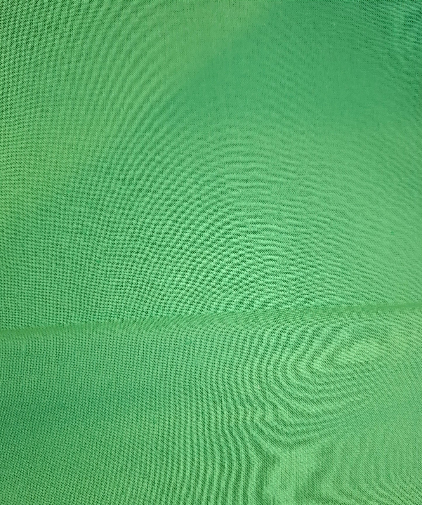 Tessuto verde tinta unita