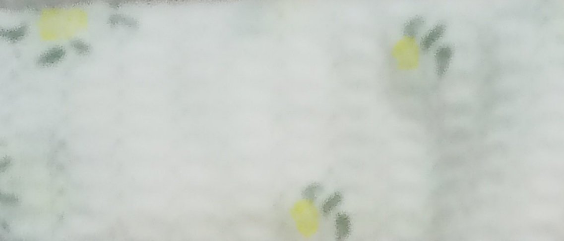 Tubolare fiori gialli