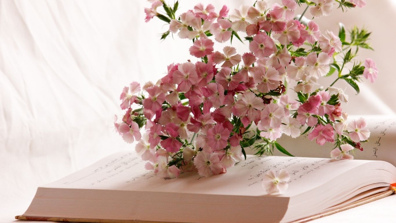 Libri e manuali - Angels Style merceria creativa