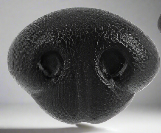 Naso pupazzi 
