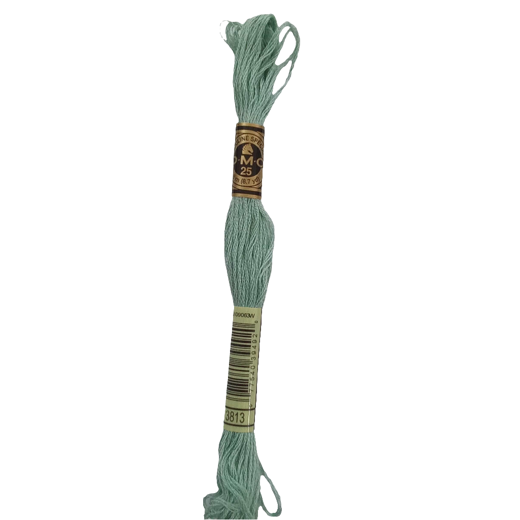 Scatena i tuoi punti creativi con il filo da ricamo Mouliné - verde chiaro