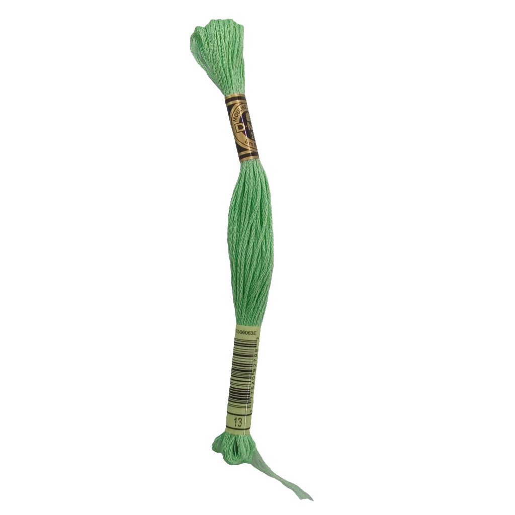 Scatena i tuoi punti creativi con il filo da ricamo Mouliné - verde chiaro