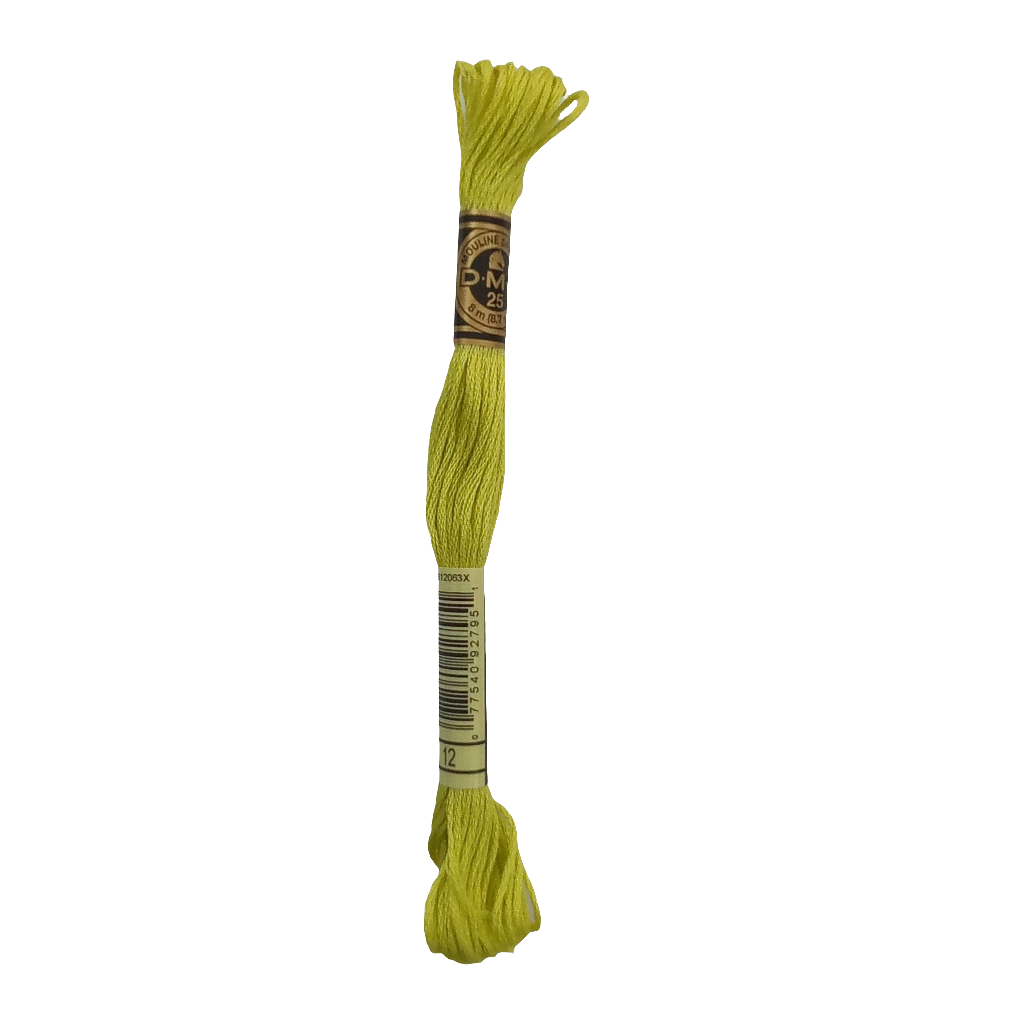 Scatena i tuoi punti creativi con il filo da ricamo Mouliné - verde chiaro