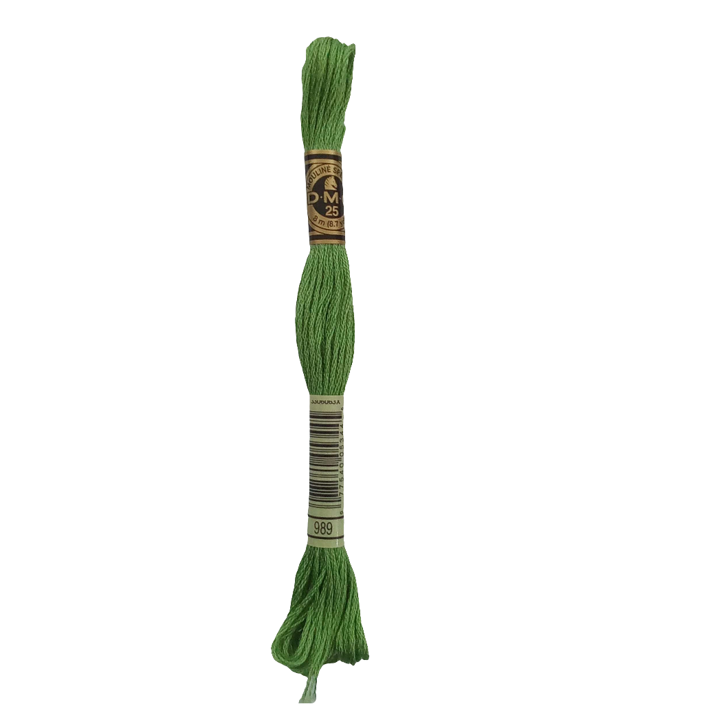 Scatena i tuoi punti creativi con il filo da ricamo Mouliné - verde chiaro