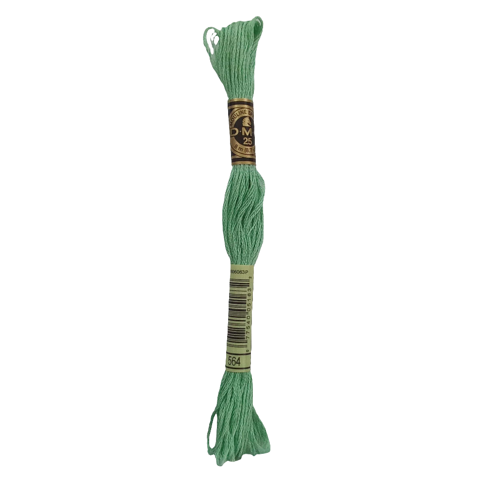 Scatena i tuoi punti creativi con il filo da ricamo Mouliné - verde chiaro