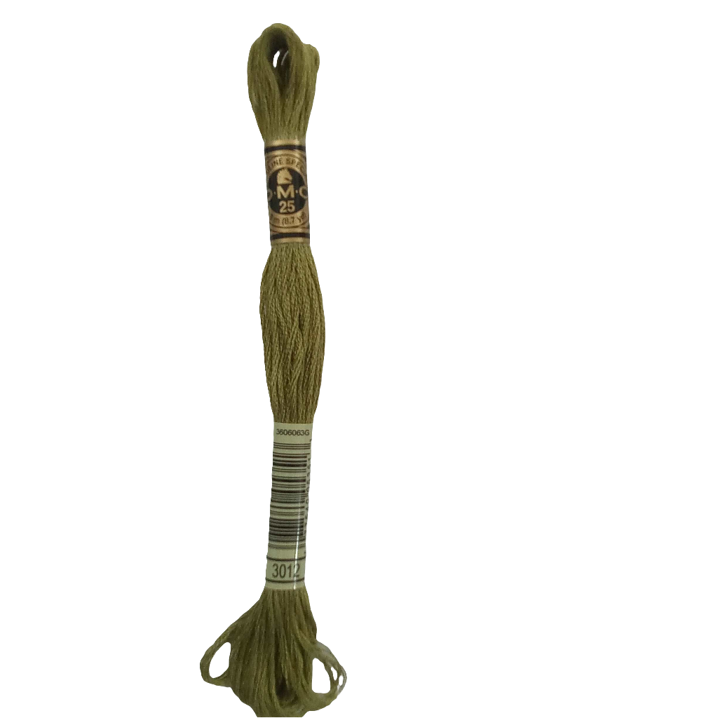 Scatena i tuoi punti creativi con il filo da ricamo Mouliné - verde chiaro