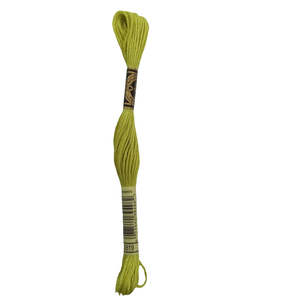 Scatena i tuoi punti creativi con il filo da ricamo Mouliné - verde chiaro