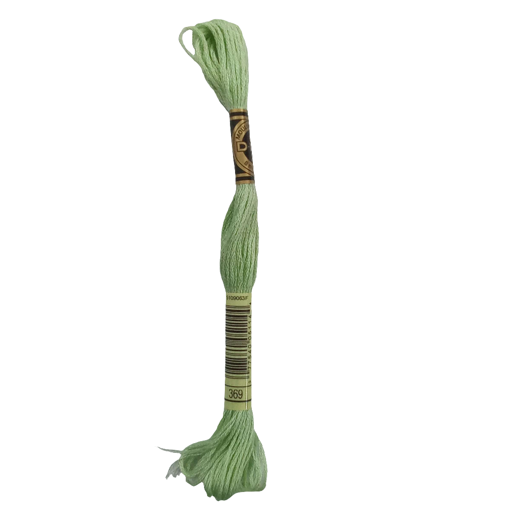 Scatena i tuoi punti creativi con il filo da ricamo Mouliné - verde chiaro