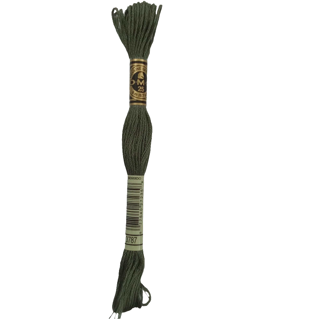 Scatena i tuoi punti creativi con il filo da ricamo Mouliné - verde chiaro