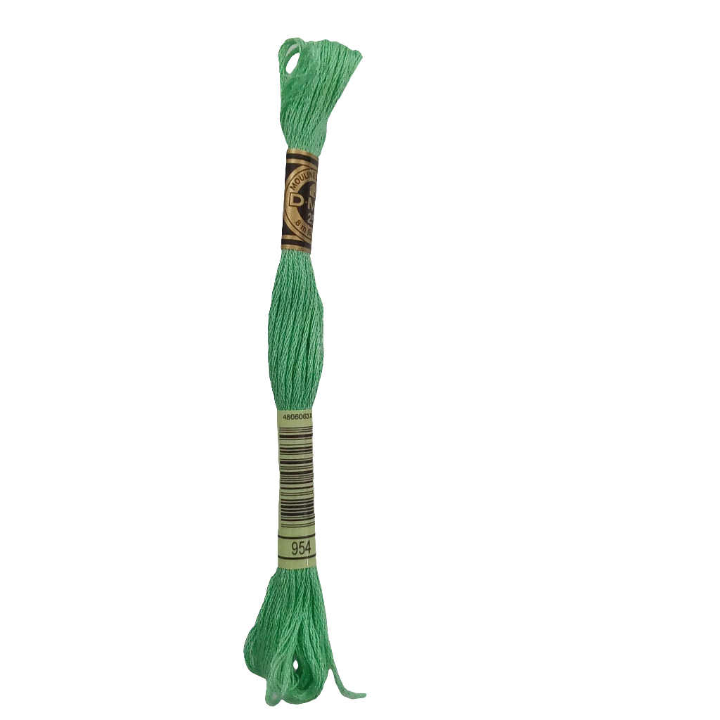 Scatena i tuoi punti creativi con il filo da ricamo Mouliné - verde chiaro