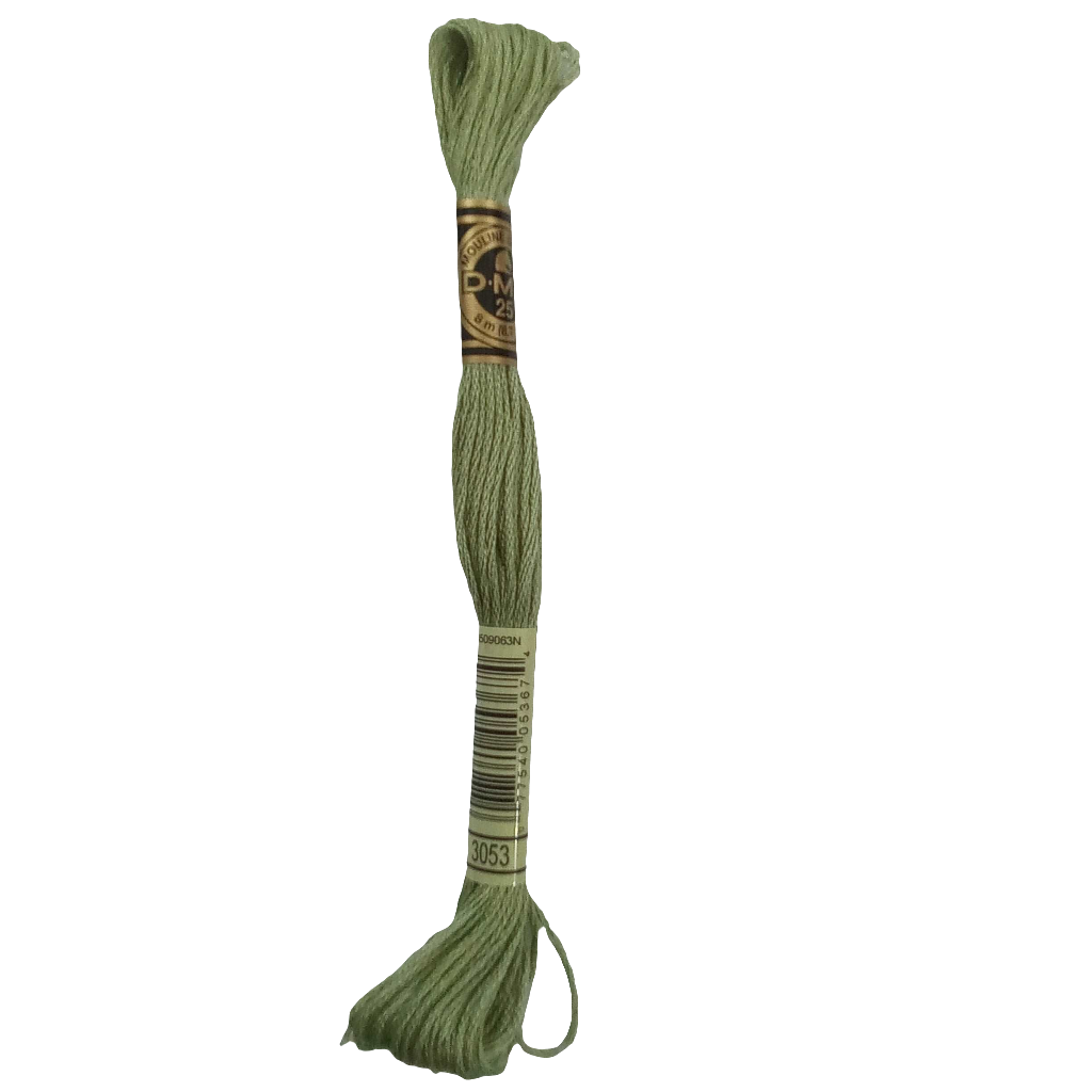 Scatena i tuoi punti creativi con il filo da ricamo Mouliné - verde chiaro