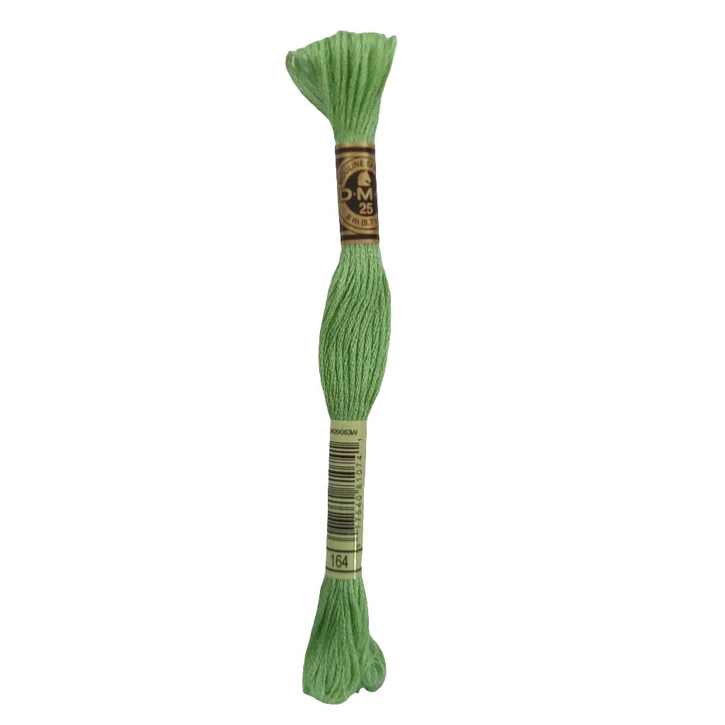 Scatena i tuoi punti creativi con il filo da ricamo Mouliné - verde chiaro
