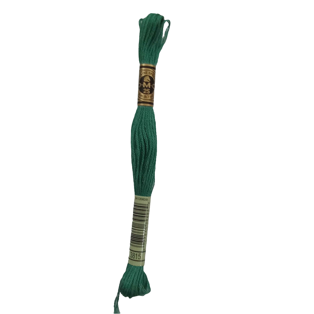Scatena i tuoi punti creativi con il filo da ricamo Mouliné - verde chiaro