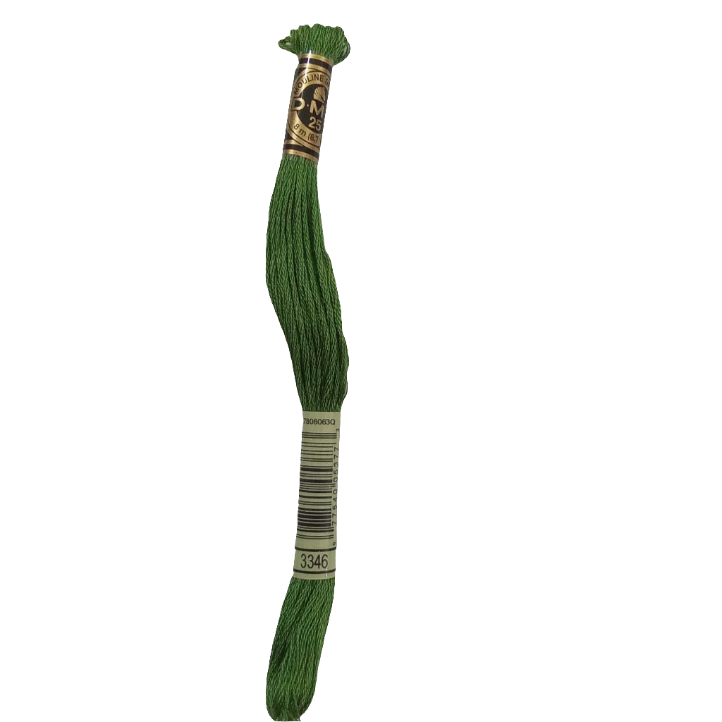 Scatena i tuoi punti creativi con il filo da ricamo Mouliné - verde chiaro