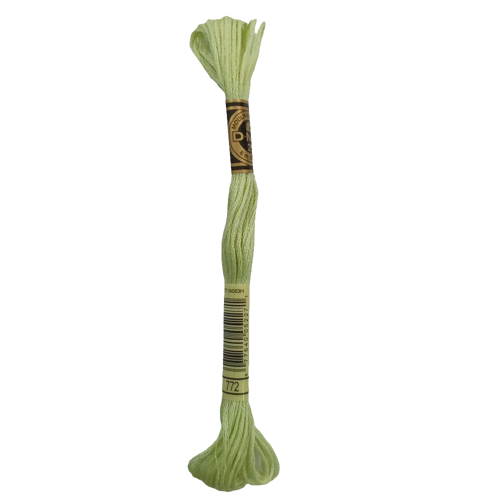 Scatena i tuoi punti creativi con il filo da ricamo Mouliné - verde chiaro