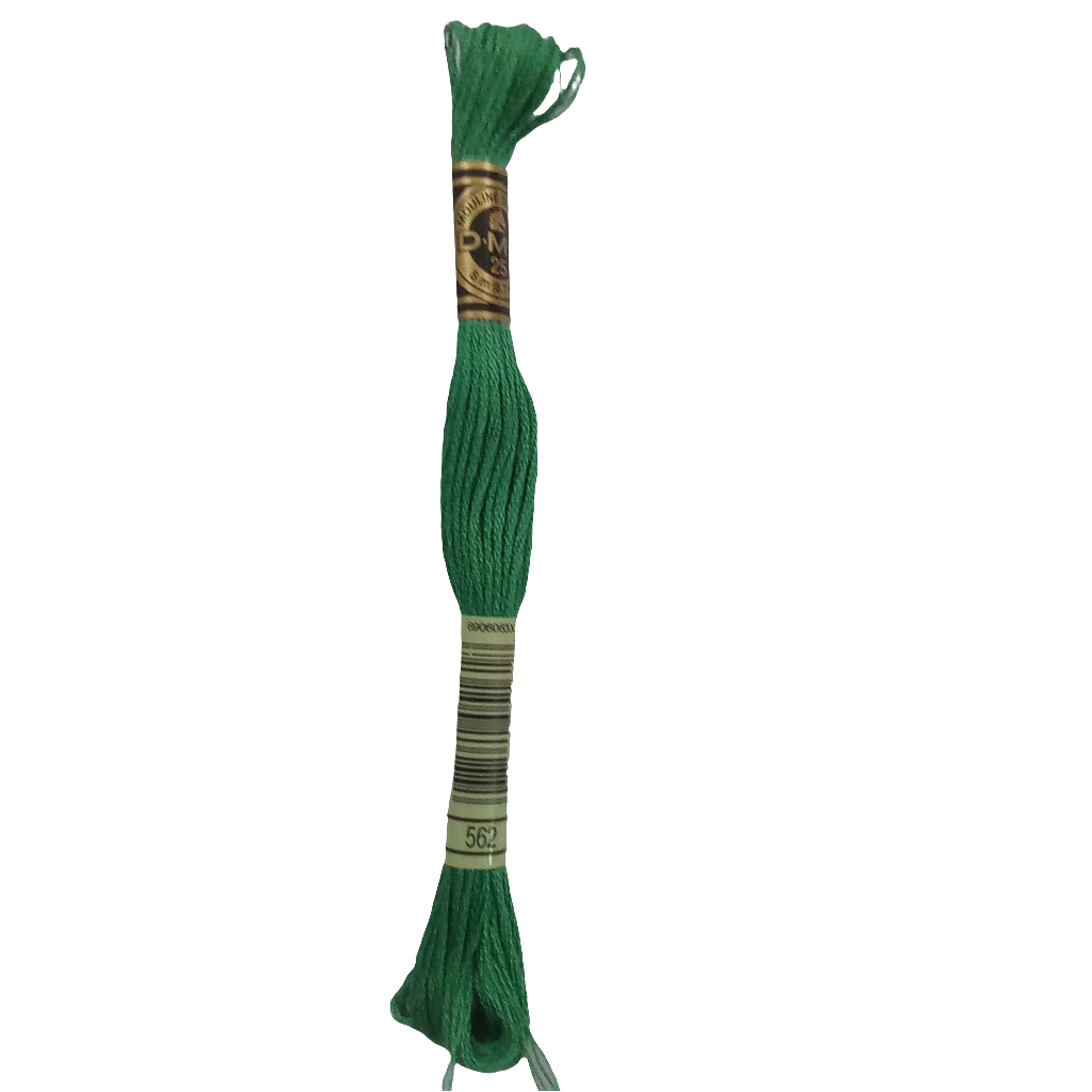 Scatena i tuoi punti creativi con il filo da ricamo Mouliné - verde chiaro