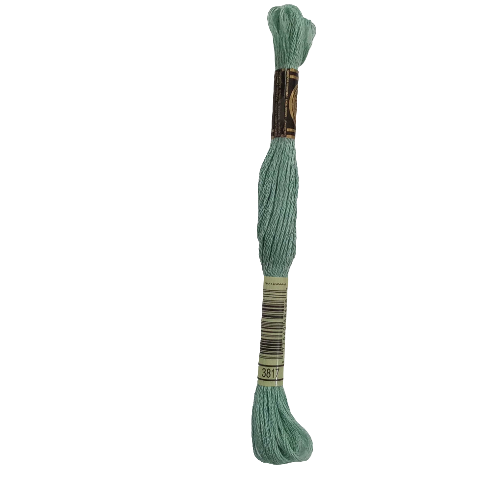 Scatena i tuoi punti creativi con il filo da ricamo Mouliné - verde chiaro