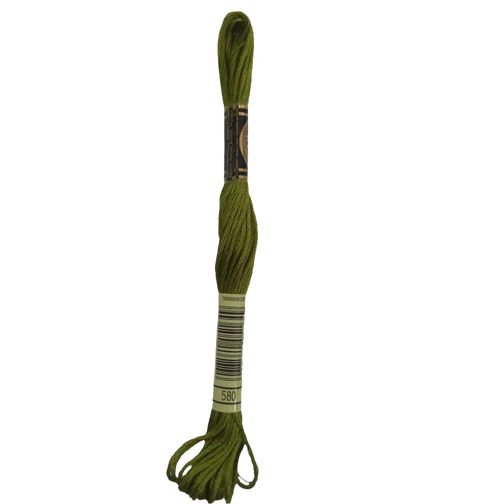 Scatena i tuoi punti creativi con il filo da ricamo Mouliné - verde chiaro