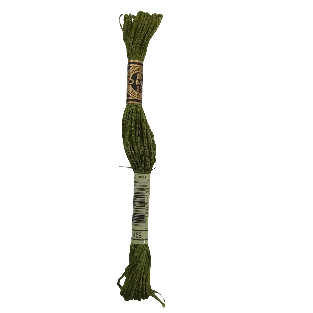 Scatena i tuoi punti creativi con il filo da ricamo Mouliné - verde chiaro