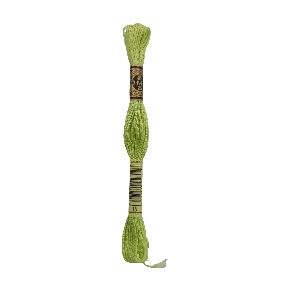 Scatena i tuoi punti creativi con il filo da ricamo Mouliné - verde chiaro