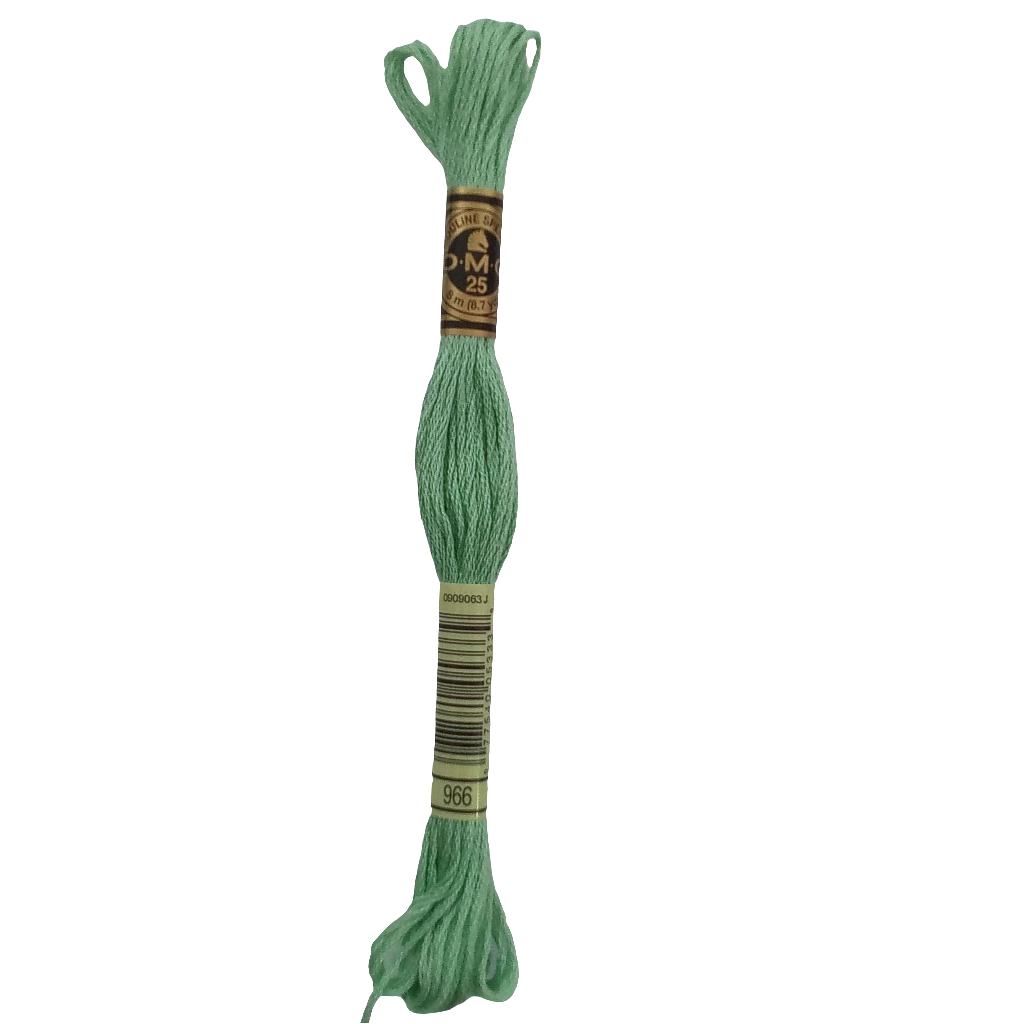 Scatena i tuoi punti creativi con il filo da ricamo Mouliné - verde chiaro