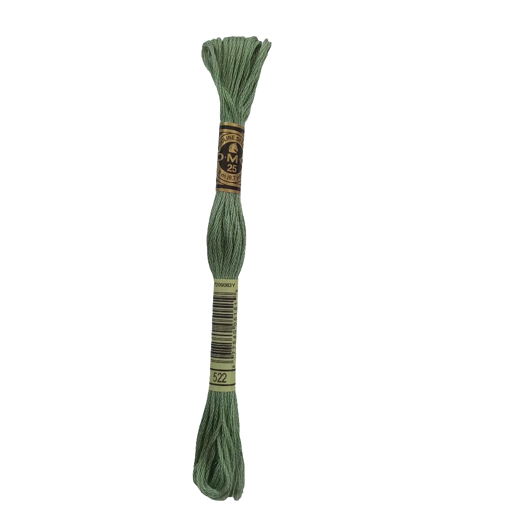 Scatena i tuoi punti creativi con il filo da ricamo Mouliné - verde chiaro