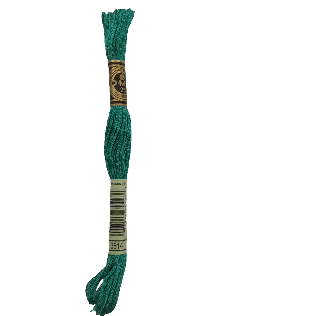 Scatena i tuoi punti creativi con il filo da ricamo Mouliné - verde chiaro
