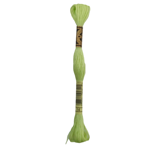 Scatena i tuoi punti creativi con il filo da ricamo Mouliné - verde chiaro