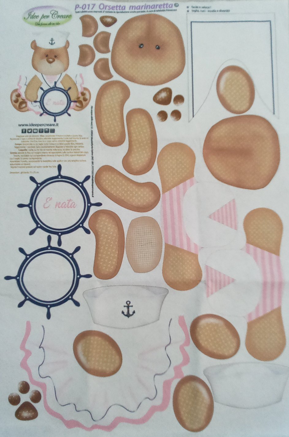 Coccarda orsetta marinaretta 