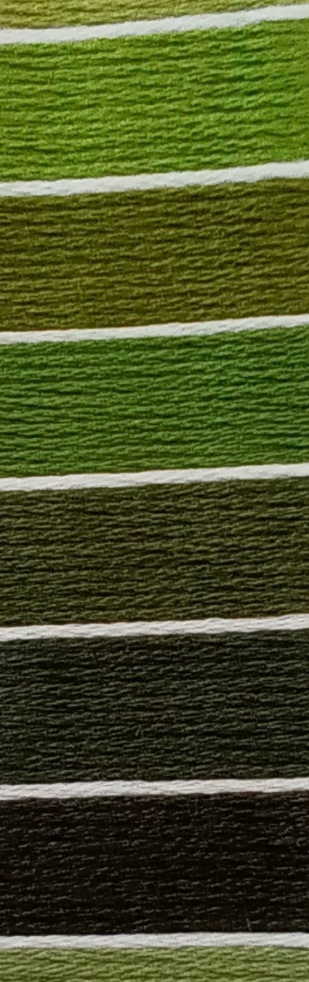 Filo mouliné, verde scuro - angels style shop hobbistica e materiali creativi 