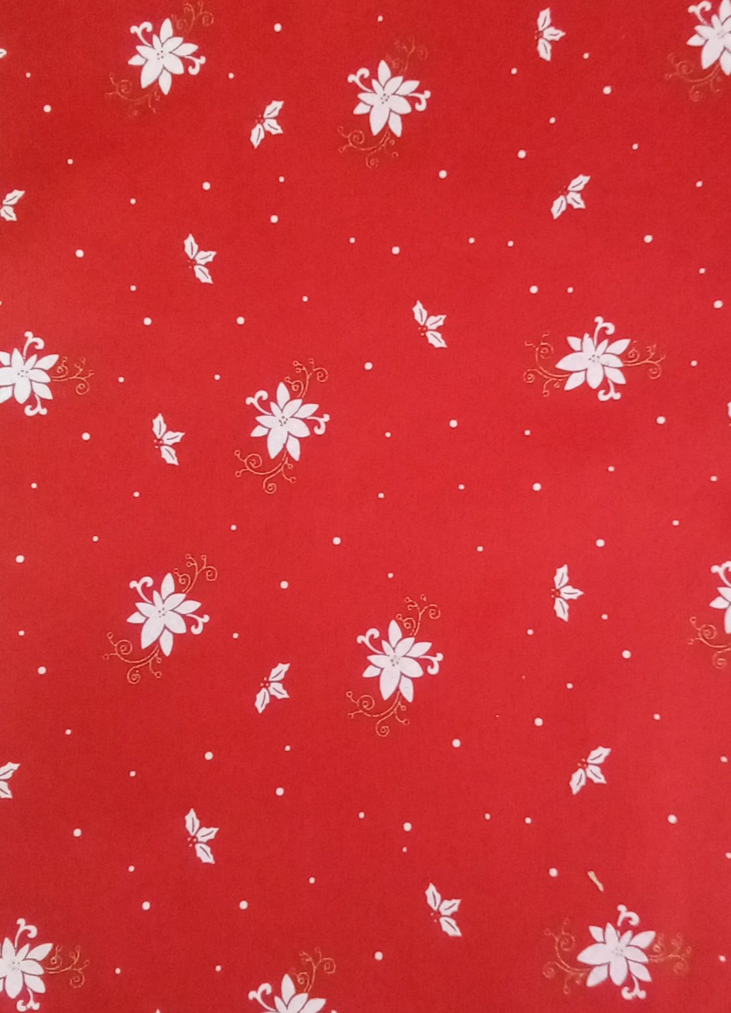 Foglio Pannolenci stella di natale rosso