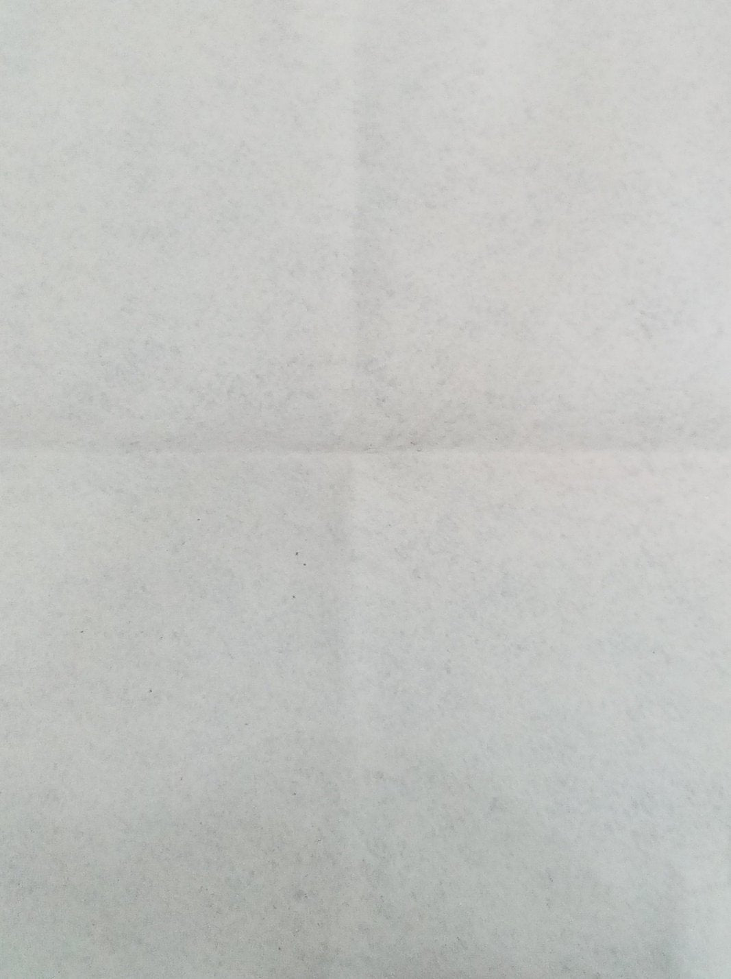 Foglio pannolenci tinta unita bianco