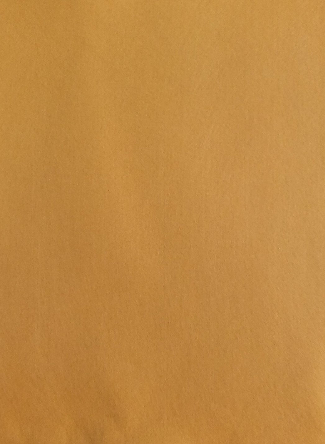 Foglio pannolenci tinta unita cammello