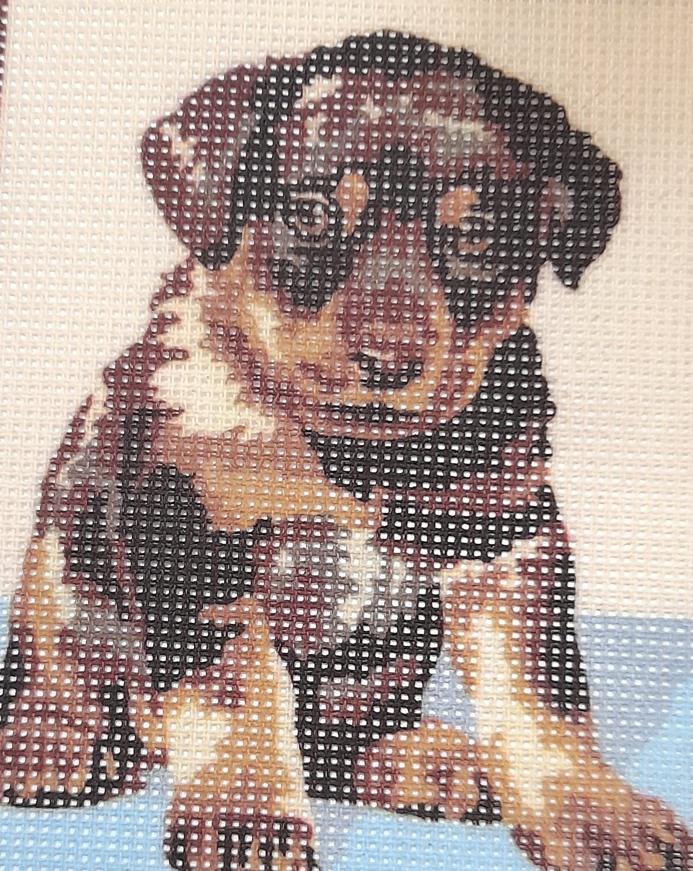 TELA STAMPATA MEZZO PUNTO - Angels Style merceria creativa