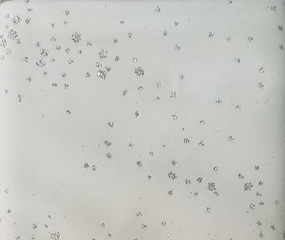 Tessuto velluto glitter bianco