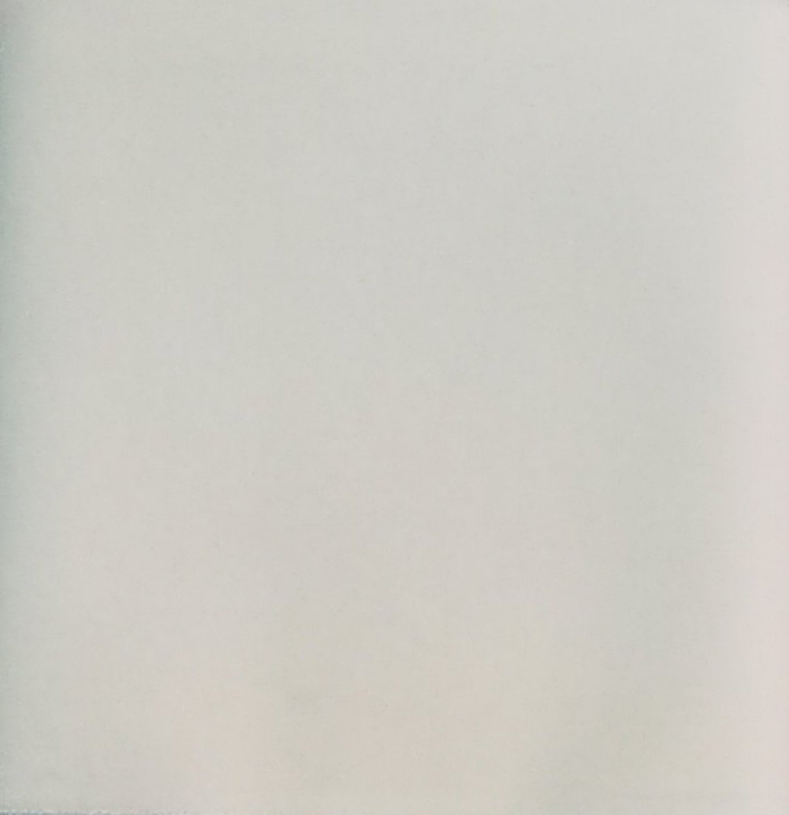 Tessuto velluto velvet bianco